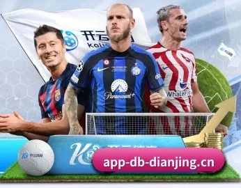 DB电竞 APP 深度功能